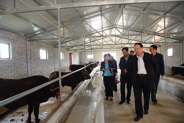 参观DSC_4725 - 副本.JPG